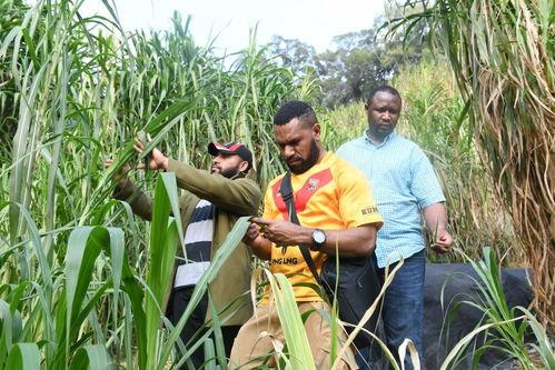 草在线观看100,深度解析热门影视作品背后的故事  第1张